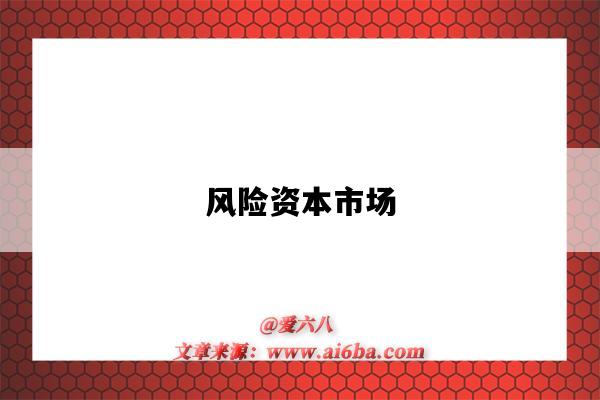 风险资本市场-图1 风险资本市场-图1