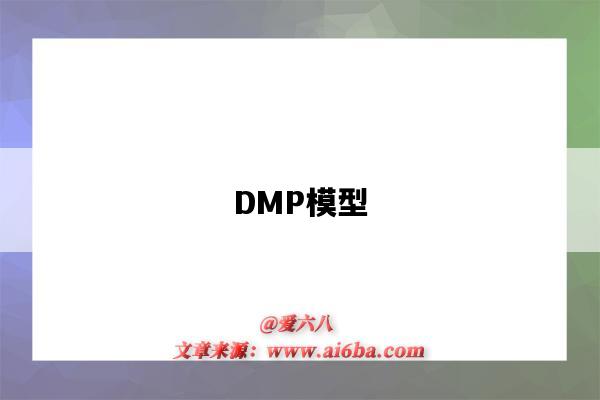 DMP模型