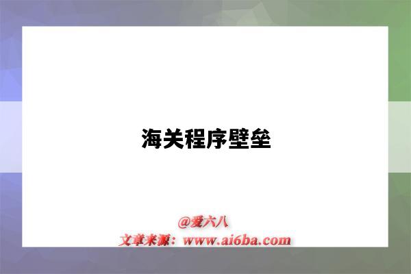 海关程序壁垒-图1