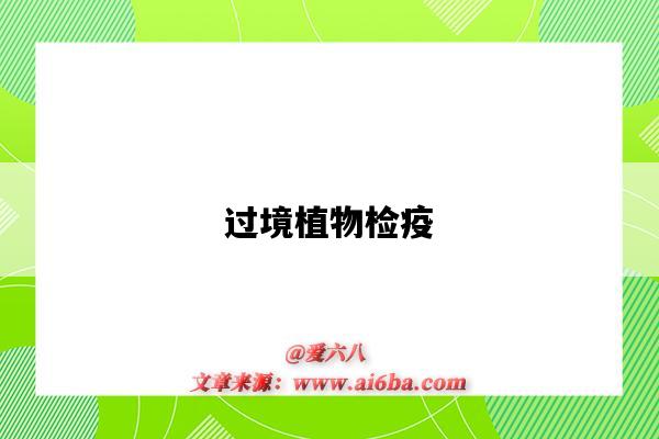 过境植物检疫-图1