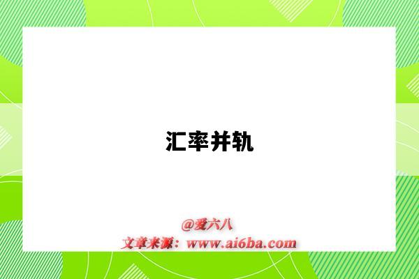 汇率并轨-图1 汇率并轨-图1