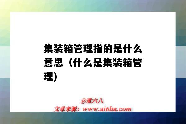 集装箱管理指的是什么意思(什么是集装箱管理)-图1 集装箱管理指的是什么意思(什么是集装箱管理)-图1
