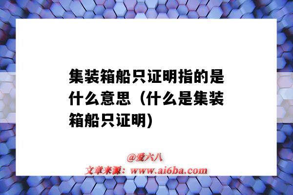 集装箱船只证明指的是什么意思(什么是集装箱船只证明)-图1 集装箱船只证明指的是什么意思(什么是集装箱船只证明)-图1