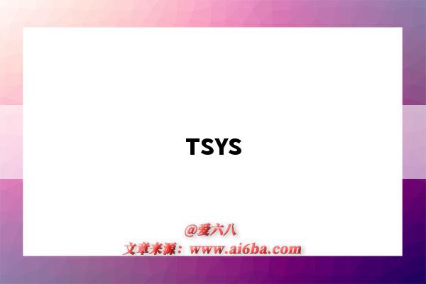TSYS（透视医圣林奇）
