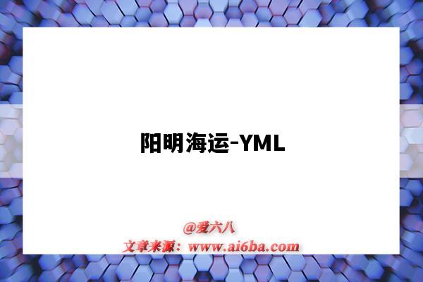 阳明海运-YML（阳明海运YML）