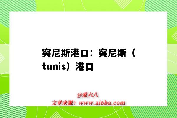 突尼斯港口：突尼斯（tunis）港口（突尼斯 港口）-图1