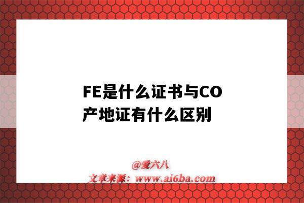 FE是什么证书与CO产地证有什么区别（产地证co和fe的区别）-图1