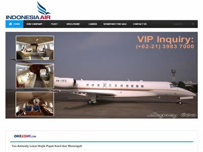 印尼航空运输公司(印尼 航空公司)-图2 印尼航空运输公司(印尼 航空公司)-图2