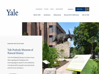 美国的大学(美国十大最著名的大学)-图4 美国的大学(美国十大最著名的大学)-图4