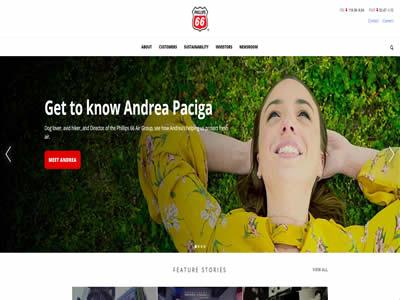 美国b2b网站(20家美国B2B电子商务公司)-图5 美国b2b网站(20家美国B2B电子商务公司)-图5