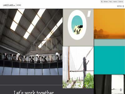 动物饲料(世界十大动物饲料公司)-图4 动物饲料(世界十大动物饲料公司)-图4