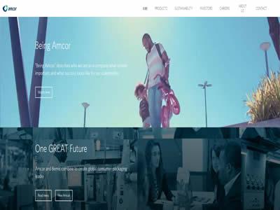 包装公司(世界十大包装公司)-图10 包装公司(世界十大包装公司)-图10