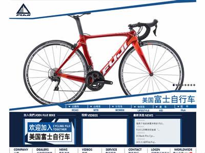 世界十大自行车品牌(世界十大自行车品牌)-图2 世界十大自行车品牌(世界十大自行车品牌)-图2