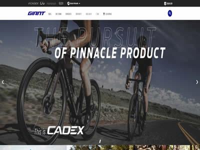 世界十大自行车品牌(世界十大自行车品牌)-图6 世界十大自行车品牌(世界十大自行车品牌)-图6