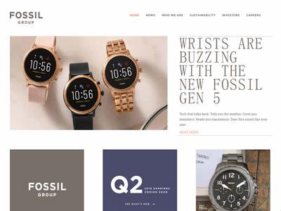 美国奢侈品牌(美国十大奢侈品公司)-图6 美国奢侈品牌(美国十大奢侈品公司)-图6