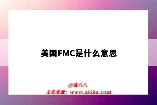 美国FMC是什么意思（美国fmc）-图1