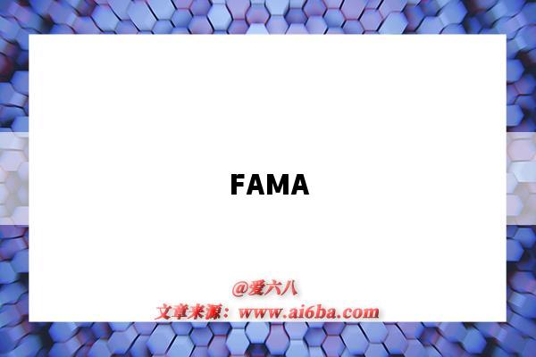 FAMA(砝码)-图1 FAMA(砝码)-图1