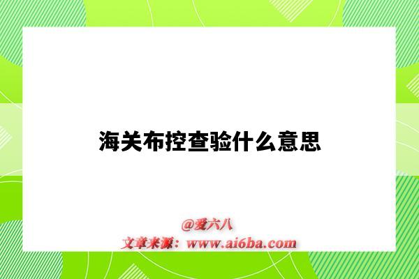 海关布控查验什么意思(海关查验和布控有什么区别)-图1 海关布控查验什么意思(海关查验和布控有什么区别)-图1