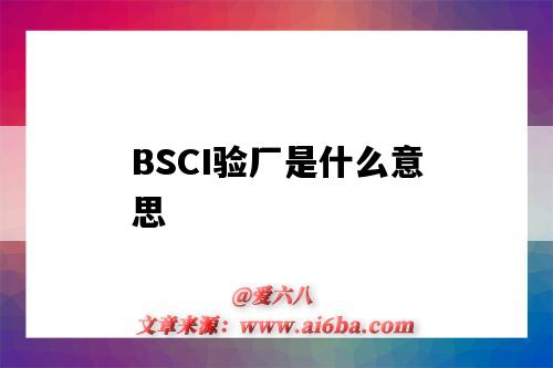 BSCI验厂是什么意思(bsci验厂)-图1 BSCI验厂是什么意思(bsci验厂)-图1