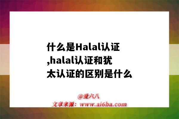 什么是Halal认证,halal认证和犹太认证的区别是什么（halal是什么认证在国内市场）-图1