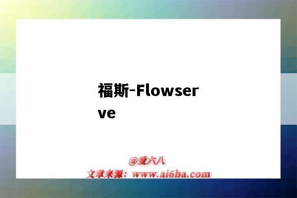 福斯-Flowserve(福斯特医生)-图1 福斯-Flowserve(福斯特医生)-图1