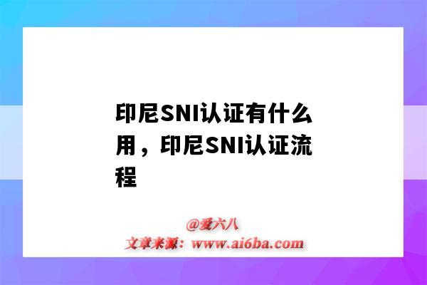 印尼SNI认证有什么用,印尼SNI认证流程(印尼sni认证国内怎么做)-图1 印尼SNI认证有什么用,印尼SNI认证流程(印尼sni认证国内怎么做)-图1