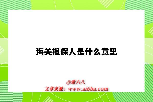 海关担保人是什么意思(海关总担保是什么意思)-图1 海关担保人是什么意思(海关总担保是什么意思)-图1