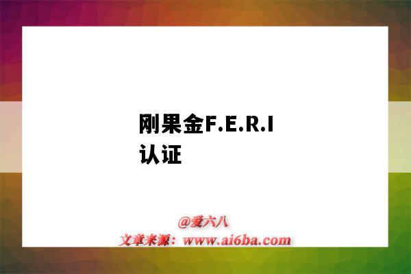 刚果金F.E.R.I认证（刚果金bv检测）-图1