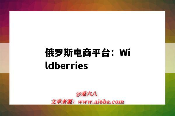 俄罗斯电商平台：Wildberries（俄罗斯电商平台ozon入驻条件）-图1