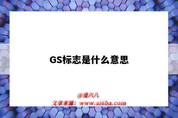 GS标志是什么意思(汽车标志gs是什么意思)-图1 GS标志是什么意思(汽车标志gs是什么意思)-图1