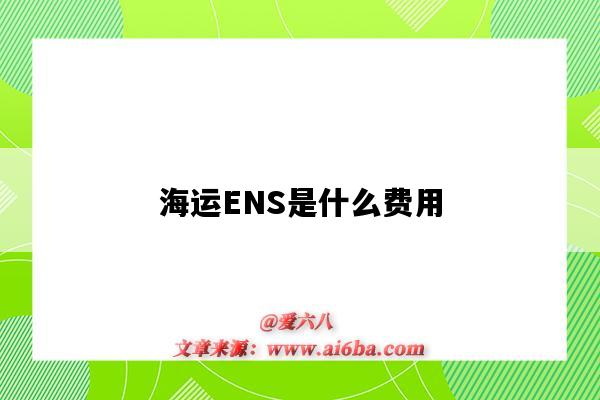 海运ENS是什么费用(海运中ens是什么费用)-图1 海运ENS是什么费用(海运中ens是什么费用)-图1