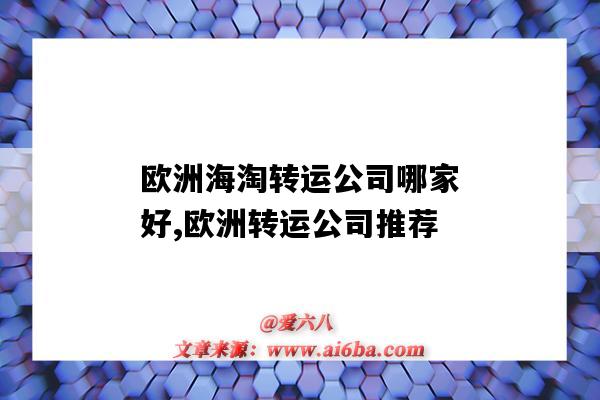 欧洲海淘转运公司哪家好,欧洲转运公司推荐（欧洲转运公司哪个好）-图1