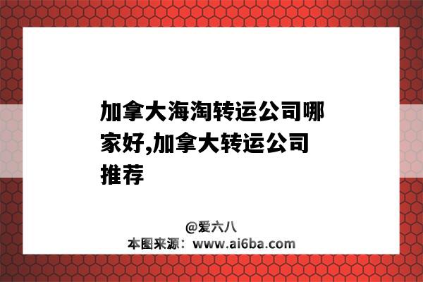 加拿大海淘转运公司哪家好,加拿大转运公司推荐(加拿大海淘转运公司哪个好)-图1 加拿大海淘转运公司哪家好,加拿大转运公司推荐(加拿大海淘转运公司哪个好)-图1