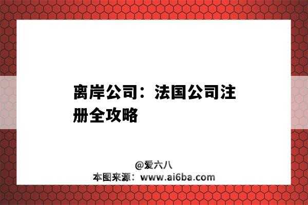离岸公司：法国公司注册全攻略（美国离岸公司注册）-图1