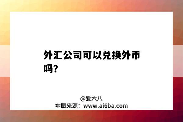 外汇公司可以兑换外币吗?-图1 外汇公司可以兑换外币吗?-图1